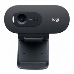 Webcam Logitech C505E/ 1280...