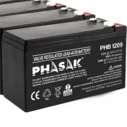 Batería Phasak PHB 1209...